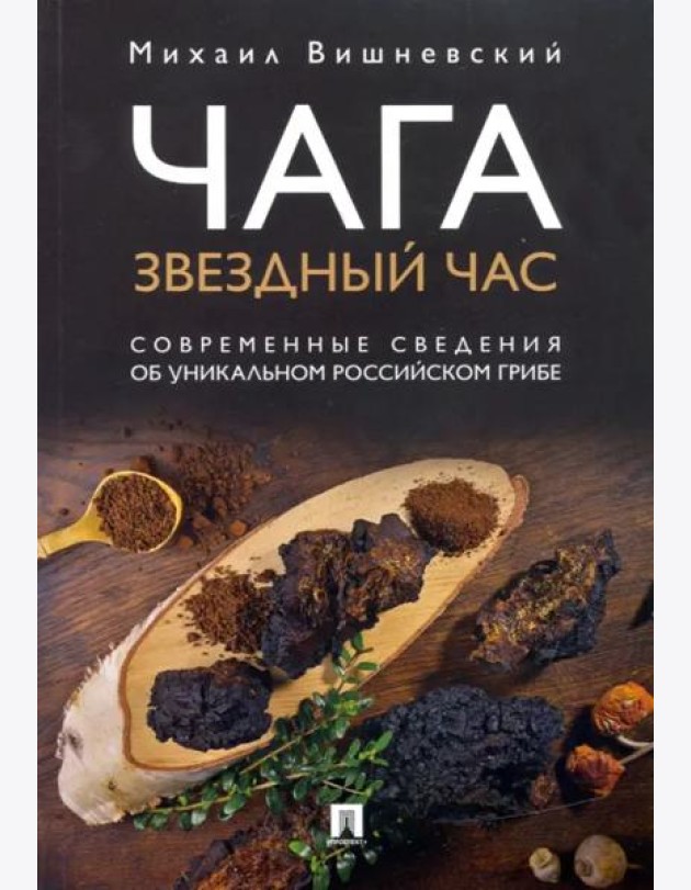 Чага. Звездный час. Современные сведения об уникальном российском грибе