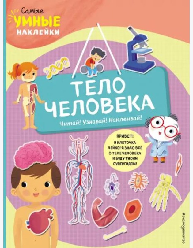 Тело человека (с наклейками)