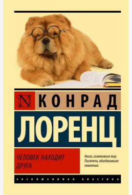 Человек находит друга