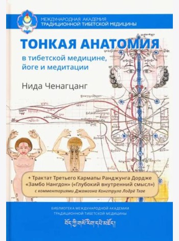 Тонкая анатомия в тибетской медицине, йоге и медит