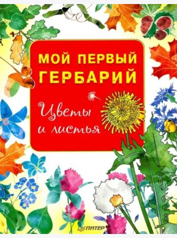 Мой первый гербарий. Цветы и листья