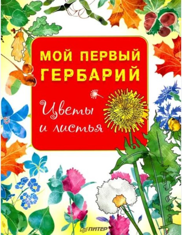 Мой первый гербарий. Цветы и листья