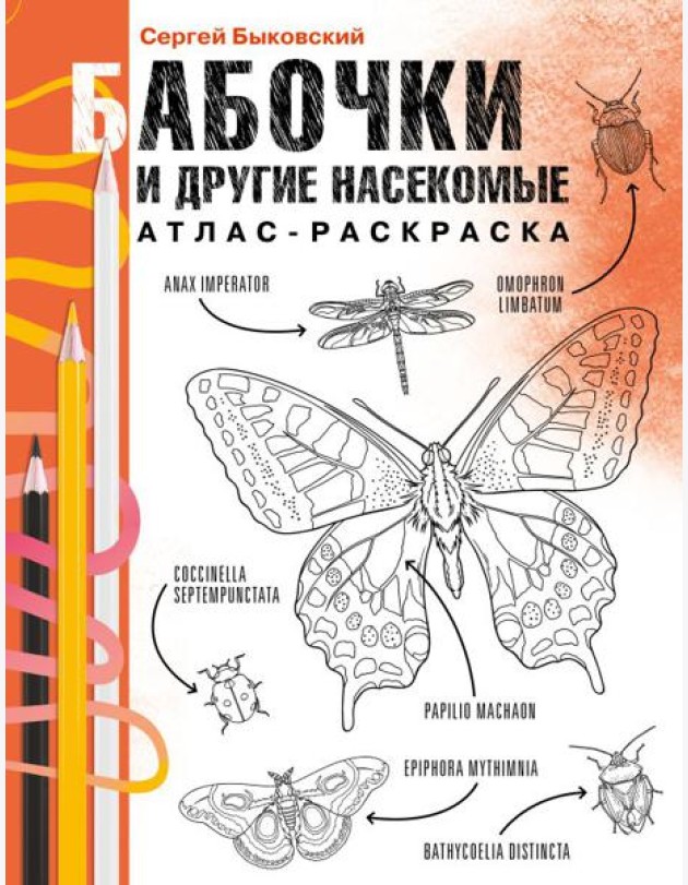 Бабочки и другие насекомые. Атлас-раскраска