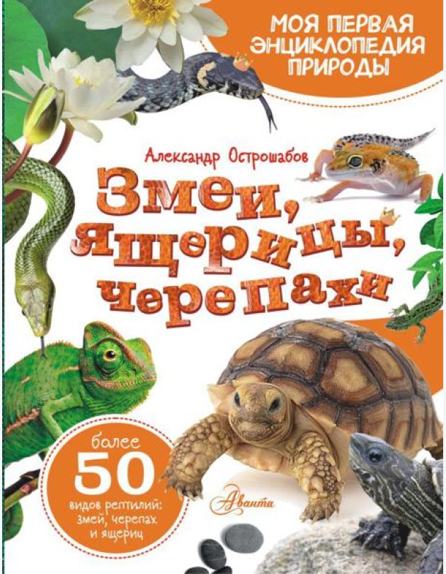 Змеи, ящерицы, черепахи: энциклопедия