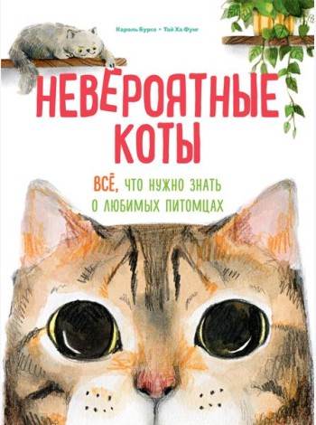 Невероятные коты. Всё, что нужно знать о любимых питомцах