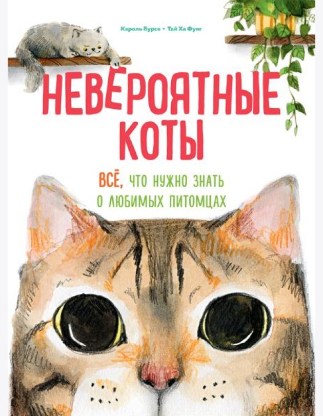 Невероятные коты. Всё, что нужно знать о любимых питомцах