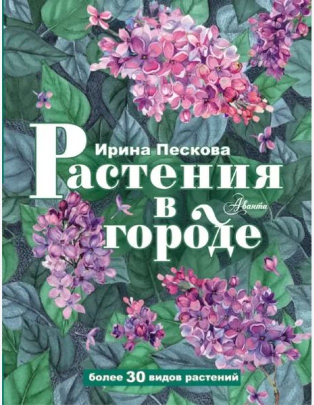 Растения в городе