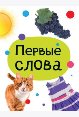 ЦК МИНИ. ПЕРВЫЕ СЛОВА
