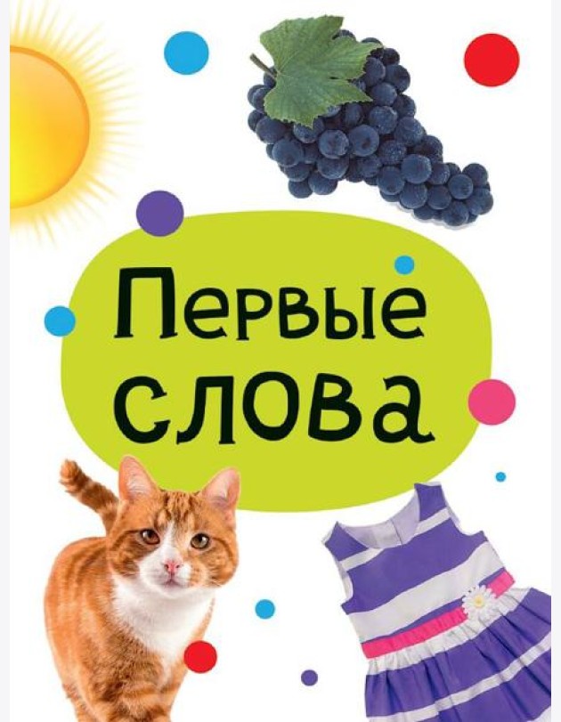 ЦК МИНИ. ПЕРВЫЕ СЛОВА