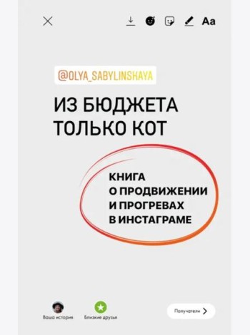 Из бюджета только кот. Книга о продвижении и прогревах в инстаграме