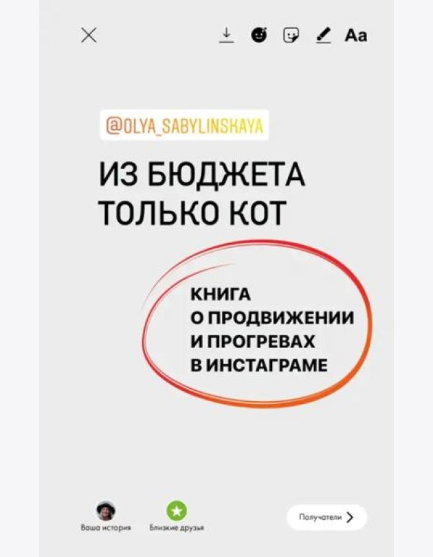 Из бюджета только кот. Книга о продвижении и прогревах в инстаграме
