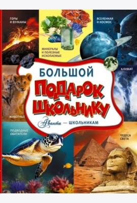 Большой подарок школьнику