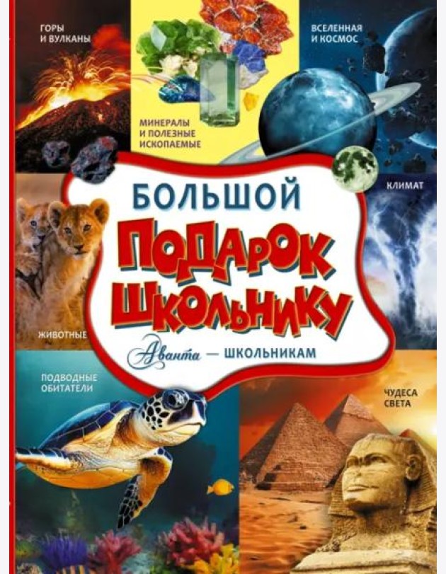 Большой подарок школьнику