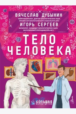 Тело человека
