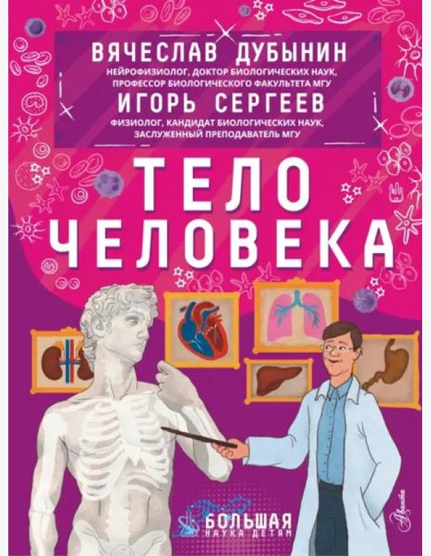 Тело человека