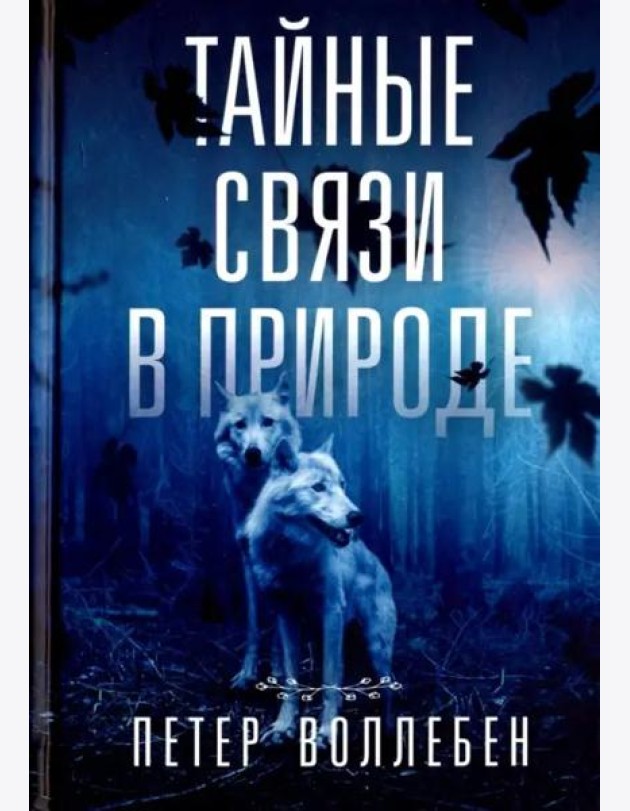 Тайные связи в природе