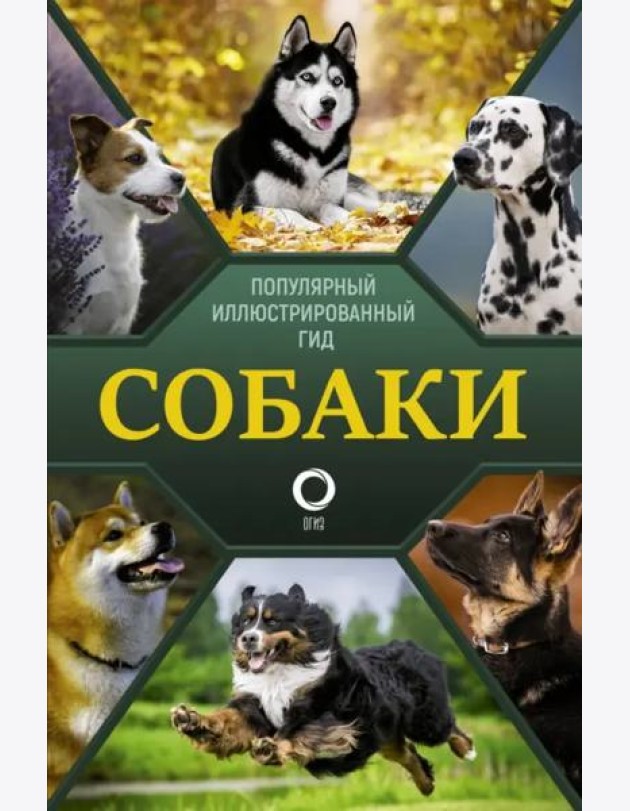 Собаки. Популярный иллюстрированный гид