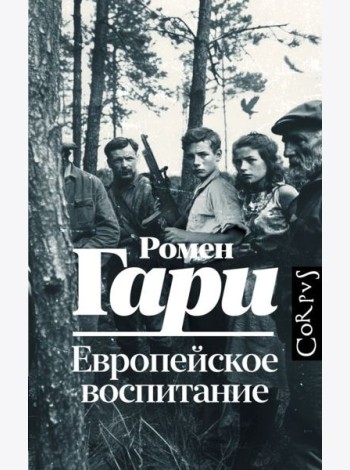 Европейское воспитание: роман