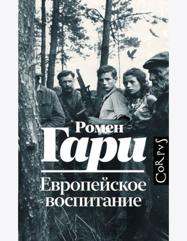 Европейское воспитание: роман