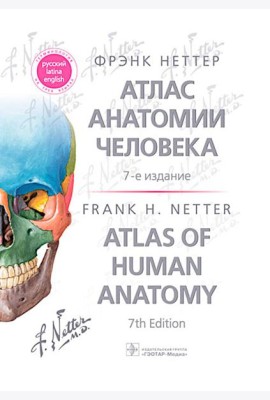 Атлас анатомии человека. 7-е изд. Неттер Ф.Г.