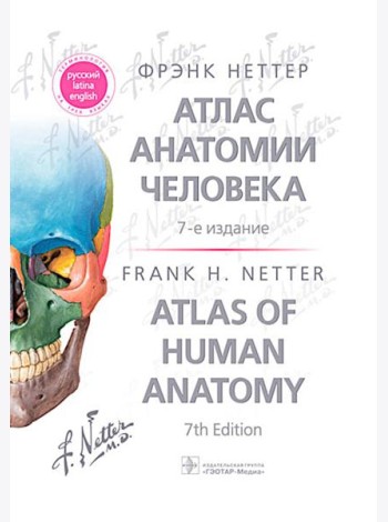 Атлас анатомии человека. 7-е изд. Неттер Ф.Г.