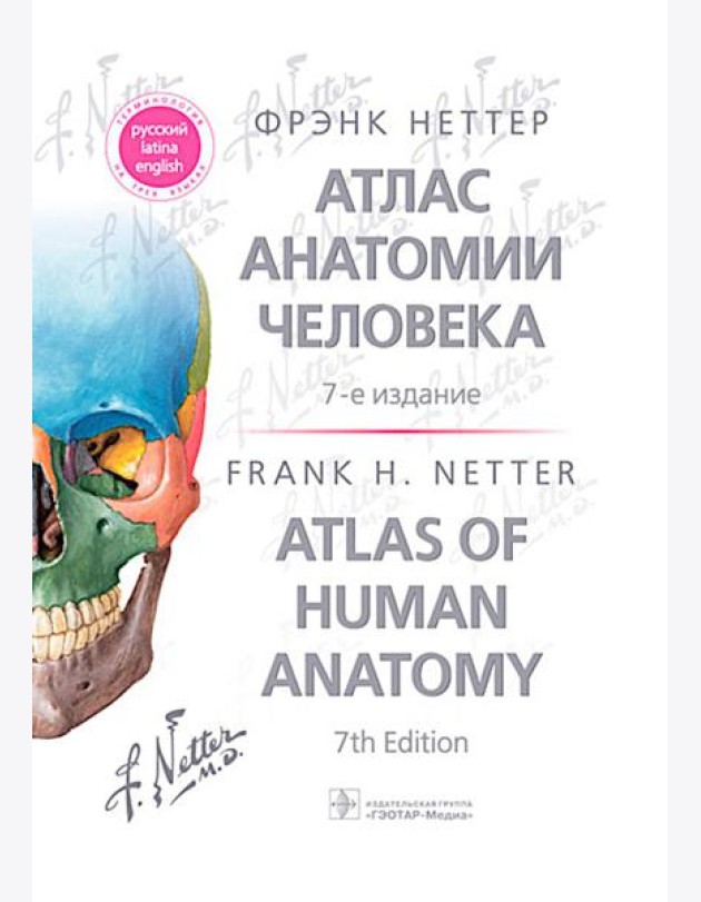 Атлас анатомии человека. 7-е изд. Неттер Ф.Г.