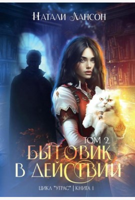 Бытовик в действии. Т. 2. Лансон Н.