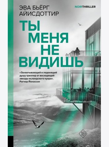 Ты меня не видишь: роман