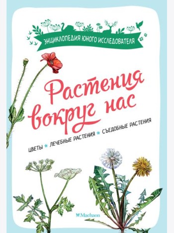 Растения вокруг нас
