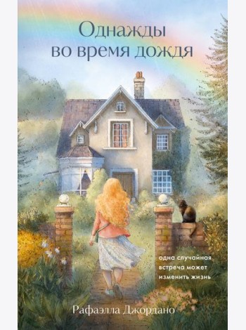Однажды во время дождя. Одна случайная встреча может изменить жизнь