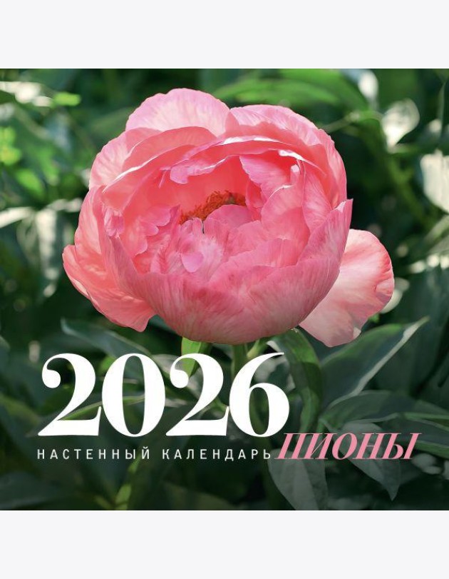 Пионы. Настенный календарь на 2026 год