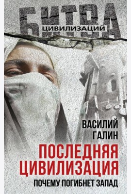 Последняя цивилизация. Почему погибнет Запад