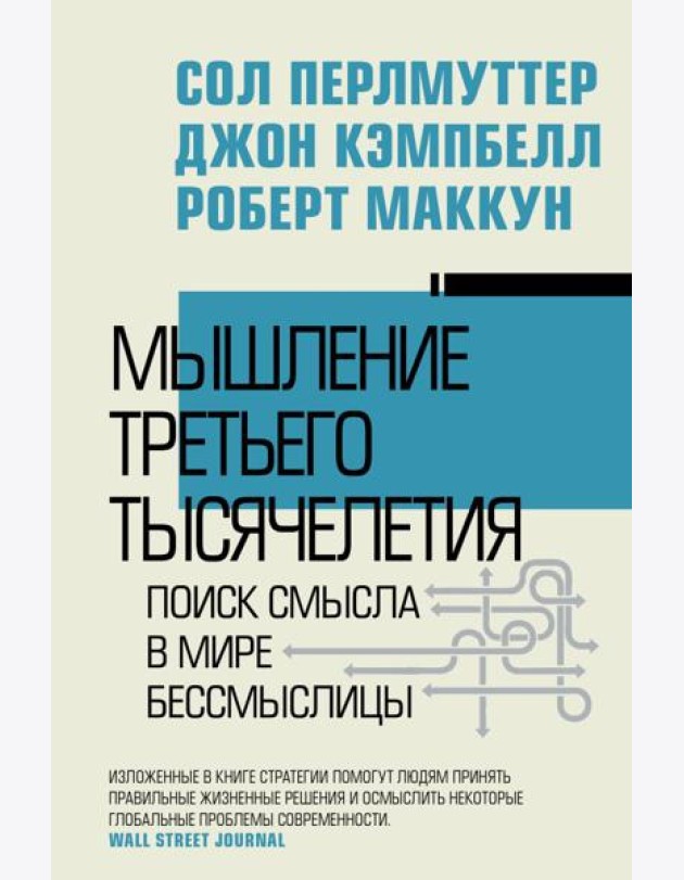 Мышление третьего тысячелетия. Поиск смысла в мире бессмыслицы