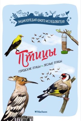 Птицы