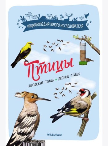 Птицы