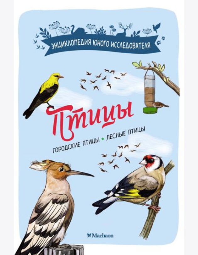 Птицы