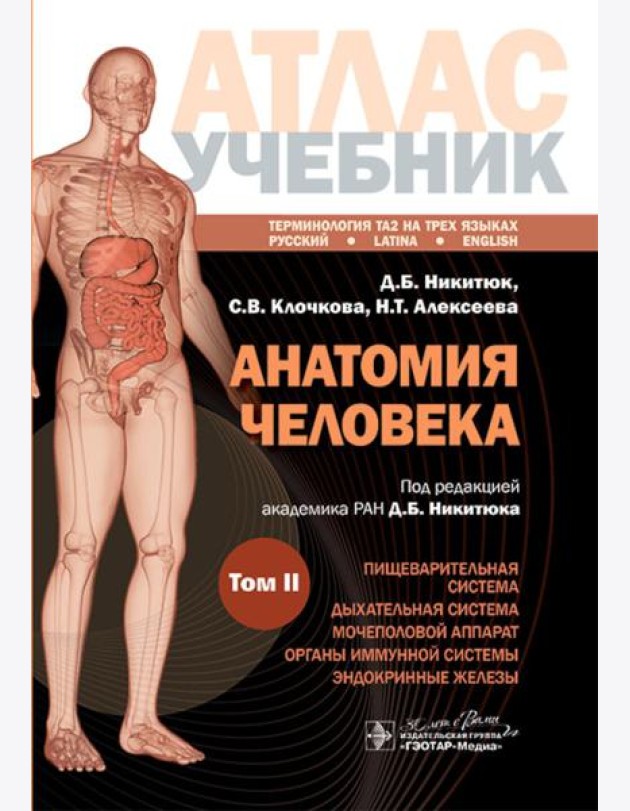 Анатомия человека: атлас: учебное пособие: в 3-х т. Т. 2