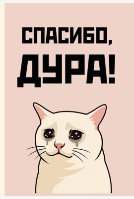 Спасибо, дура! Ежедневник недатированный (А5, 72 л.)