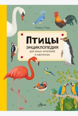 Птицы