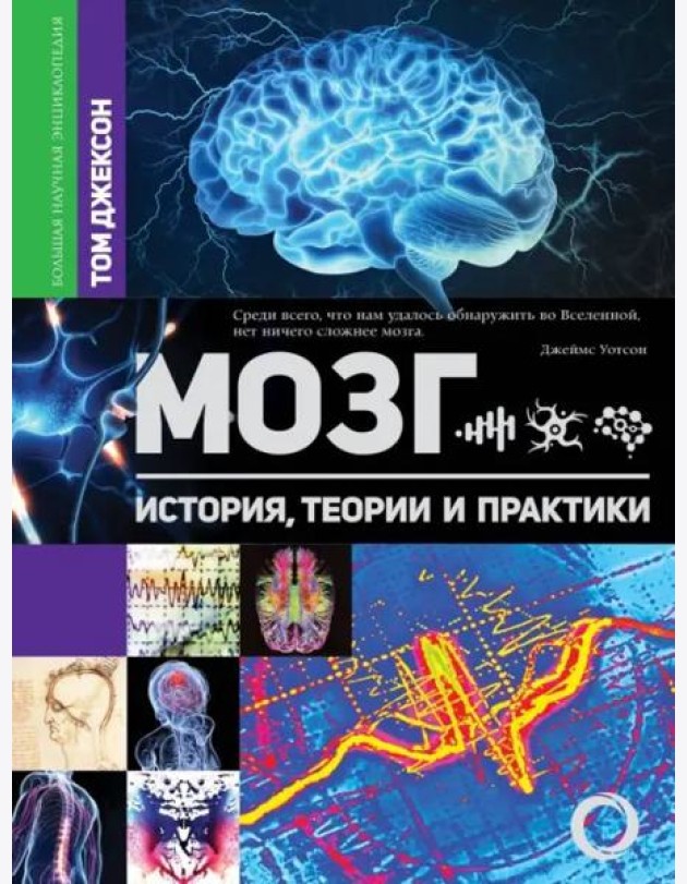 Мозг. История, теории и практики