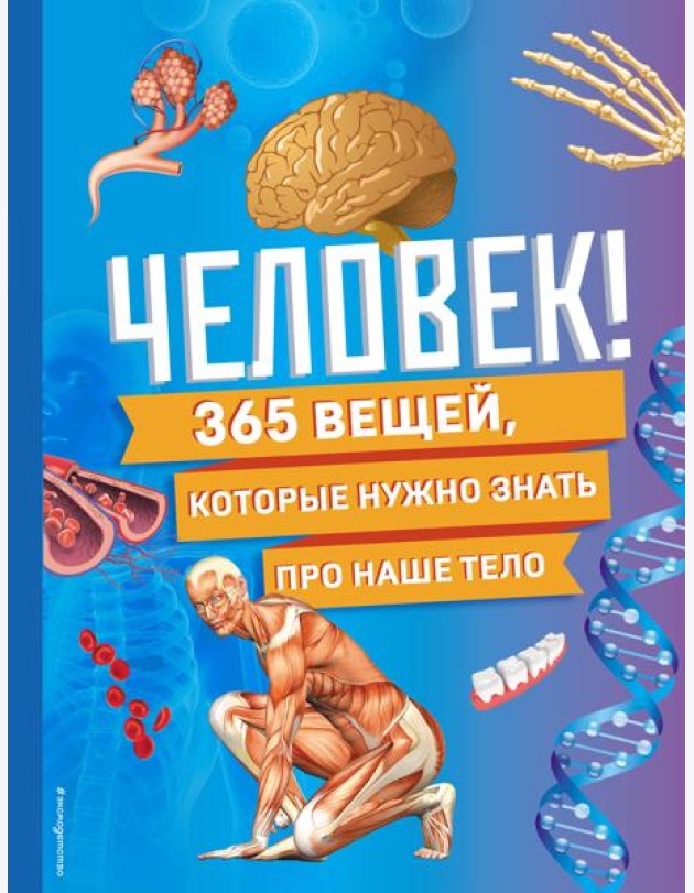 Человек! 365 вещей, которые нужно знать про наше тело
