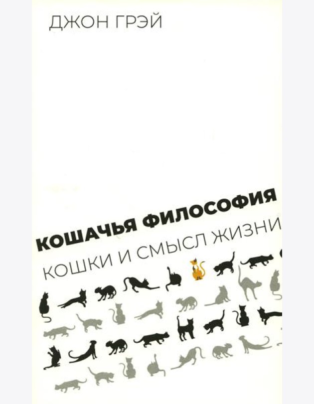 Кошачья философия. Кошки и смысл жизни
