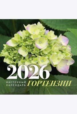Гортензии. Настенный календарь на 2026 год