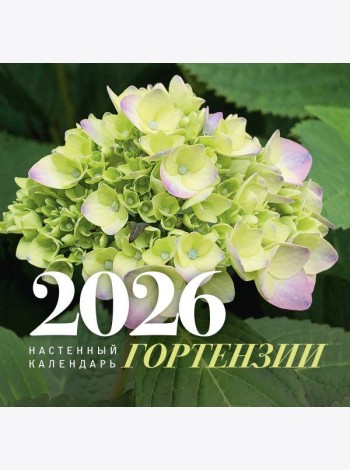 Гортензии. Настенный календарь на 2026 год