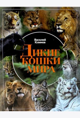 Дикие кошки мира