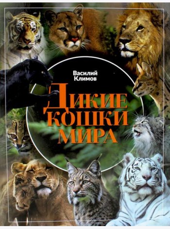Дикие кошки мира