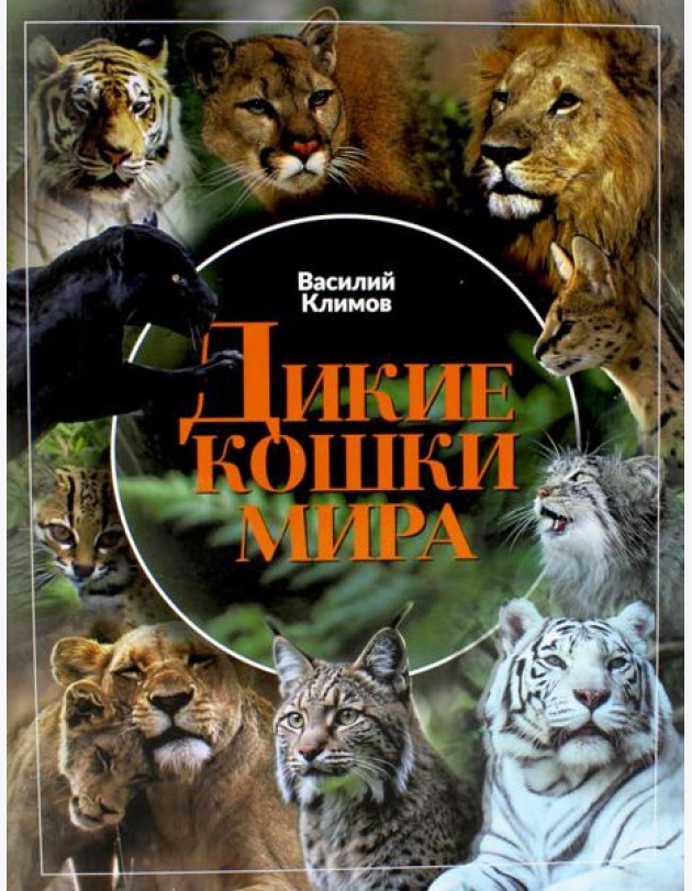 Дикие кошки мира