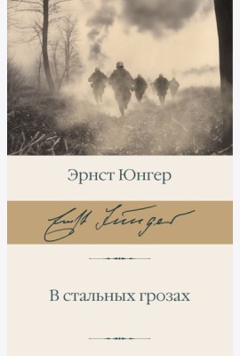 В стальных грозах
