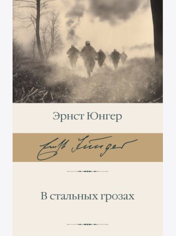 В стальных грозах