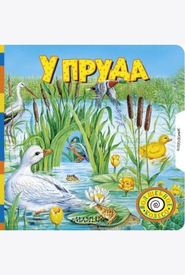 У пруда
